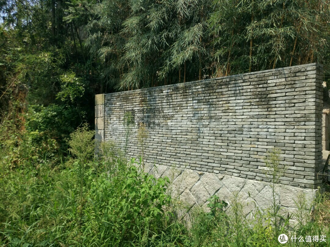 清研：有一种逃离叫躲进莫干山里